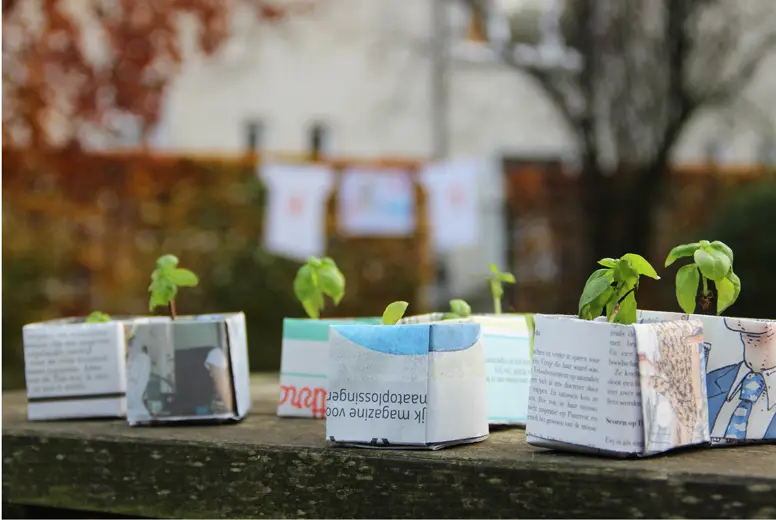 Jonge plantjes groeien in kleine potjes die gevouwen zijn uit oude kranten, met een tuin op de achtergrond.